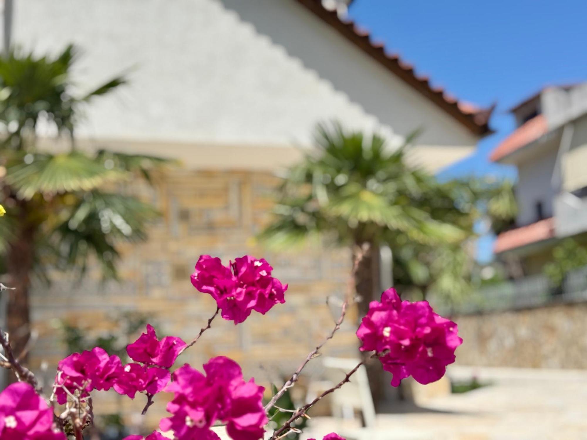 Villa Ida Apartments Vlorë Eksteriør billede